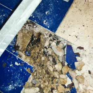 אריחים שבורים ואדמה חשופה על רצפה