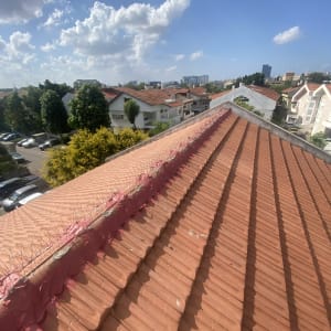 גג רעפים עם דוקרנים לאורך הרכס