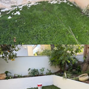 שיפוץ גינה עם קיר צבוע ודשא ירוק