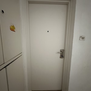 דלת לבנה עם ידית מתכת