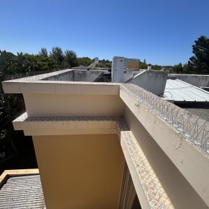 התקנת דוקרנים נגד יונים על קצוות ואדני בטון בגג מבנה