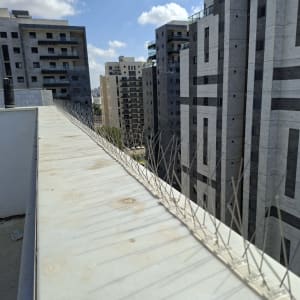 בניינים גבוהים עם דוקרנים להרחקת יונים