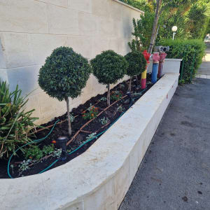 ערוגת גינה עם צמחים ועצים קטנים