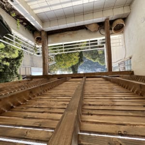 דק עץ עם עציצים על מרפסת