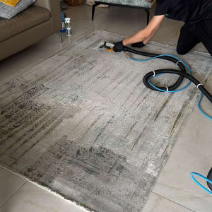 אדם מנקה שטיח עם מכונת ניקוי בסלון ביתי