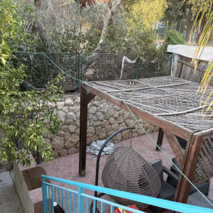 עבודת גיזום ודילול ענפים בעצים בחצר בית פרטי