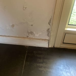 קיר עם קילופי צבע ליד דלת