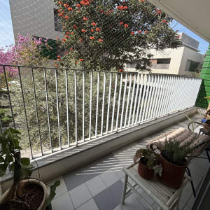 מרפסת עם רשת הגנה ועציצים, עץ פורח ברקע