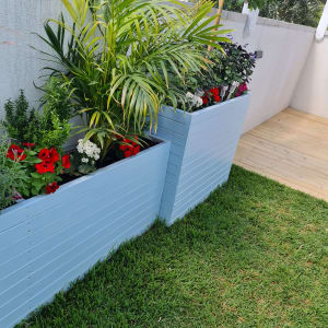 עציצים כחולים עם צמחים ופרחים צבעוניים בגינה