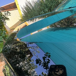 מכונית מבריקה עם השתקפות של צמחים ושמיים