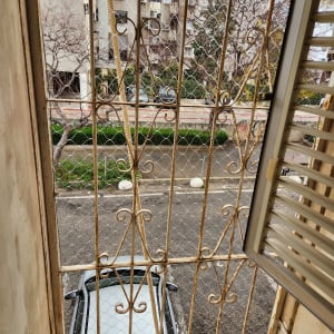 רשת מתכת על חלון למניעת כניסת יונים