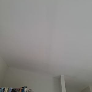 תקרה חלקה עם מדף ספרים בפינה