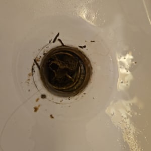 ניקוז כיור סתום עם לכלוך ושיער