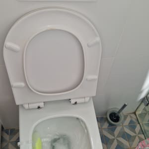 אסלה עם מים זורמים ומברשת ניקוי