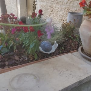 עציצים עם פרחים על אדן חלון