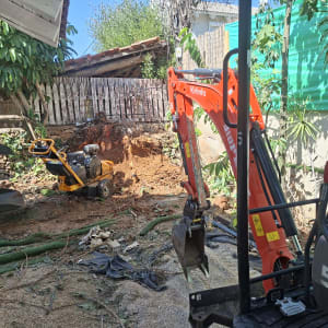 חצר עם כלי עבודה לחפירה וגיזום עצים
