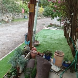 עציצים עם צמחים, צינור מים, דשא מלאכותי, שטיח מגולגל