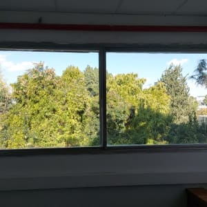 תמונה אינה מציגה עבודה בתחום