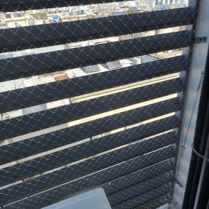 רשת מתכת מותקנת למניעת כניסת יונים