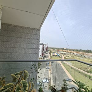 רשת יונים מותקנת במרפסת עם עציצים