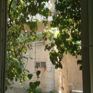 מסגרת חלון אלומיניום עם צמחייה בחוץ