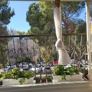 תריסים פתוחים עם וילון צהוב קשור בצד