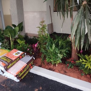 שקי דשן ליד ערוגת צמחים ושתילים