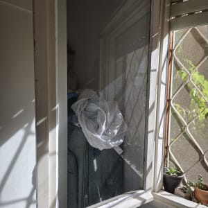 חלון זכוכית עם צללים וצמחים קטנים על אדן החלון