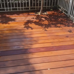 דק עץ עם עץ קטן וצל על הרצפה