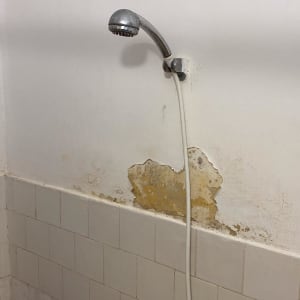 קיר עם קילופי צבע ליד ראש מקלחת