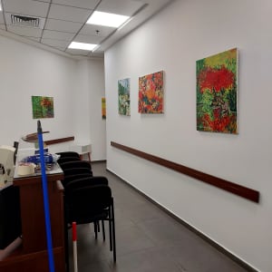 ארבעה ציורים צבעוניים תלויים על קיר לבן