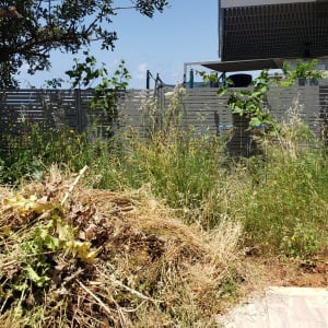 ערימת עשבים יבשים בגינה עם צמחייה גבוהה