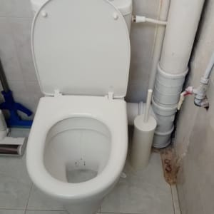 אסלה עם מברשת ניקוי וצינורות מים