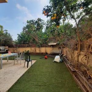 עץ תפוזים, דשא סינטטי, כלי גינון, שולחן גינה