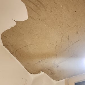 תקרע לפני צביעה