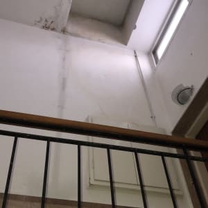 מכסה גג נוזל. התמונה צולמה ביום גשום, המים חודרים מצידי המסגרת