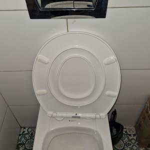 אסלה עם לחצן הדחה כפול ומתקן לניקוי