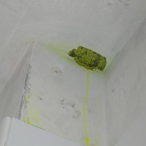 נזילה בתקרה עם סימני רטיבות ועובש