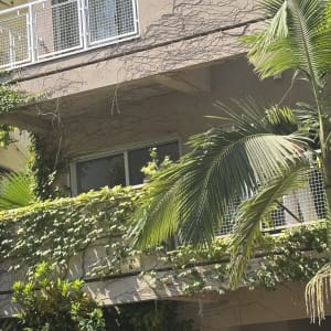 צמחייה מטפסת על מרפסת בניין עם צמחים ירוקים