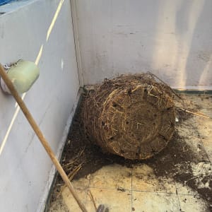 אזור עם מטאטא ועץ שנעקר, מתאים לפינוי בית