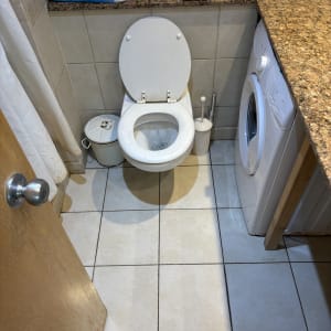 שירותים נקיים עם מוצרי ניקוי על המדף