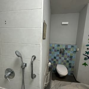 חדר אמבטיה עם מקלחת ושירותים