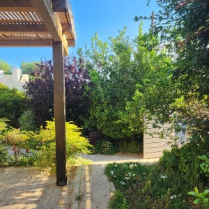 גינה עם צמחים ופרגולה מעץ ביום שמשי
