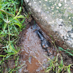 דליפת מים ליד צינור מתחת לאדמה