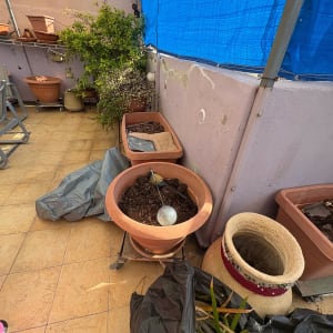 עציצים וכלי גינון במרפסת עם צמחים ויריעות פלסטיק כחולות