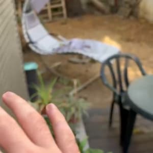 יד נעה ליד כיסא פלסטיק ושולחן בגינה