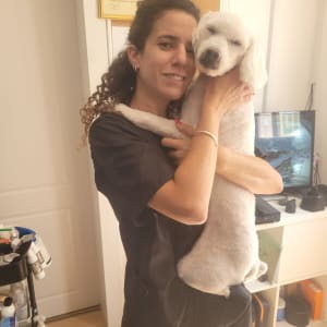 אישה מחזיקה כלב מטופח במספרת כלבים