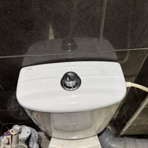 אסלה עם כפתור הדחה וצינור חיבור