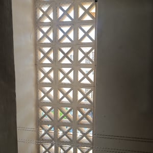 רשת יונים מותקנת על חלון עם סורגים