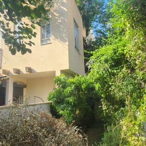 בית מוקף בצמחייה וגיזום ענפים